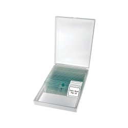 BRESSER Erudit Basic Mono 40x-400x microscope