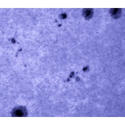  Filtre solaire Antlia ERF Hα + CaK 130 to 200 mm