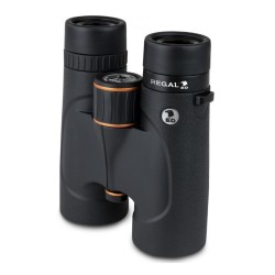 CELESTRON REGAL 10 X 42  ED