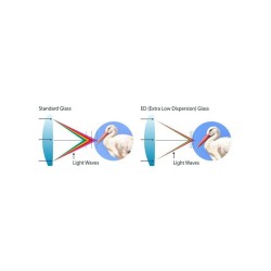 CELESTRON REGAL 10X42 ED