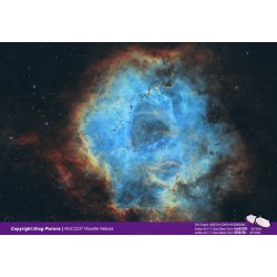 Kit de 2 filtres Antlia ALP-T Dual Band Ha-OIII 5nm et ALP-T Dual Band SII-Hb 5nm