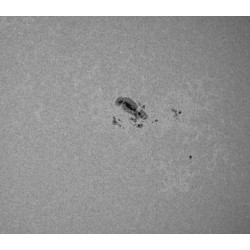  Filtre solaire Antlia ERF Hα + CaK 130 to 200 mm