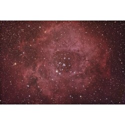 Télescope Maksutov-Newton 152 mm EXOS-2 PMC-Eight GoTo