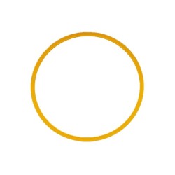 Baader M48 Fine Adjustment Ring 1 mm Gold Color