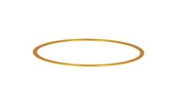 Baader M48 Fine Adjustment Ring 1 mm Gold Color