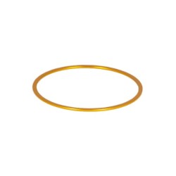 Baader M48 Fine Adjustment Ring 1 mm Gold Color