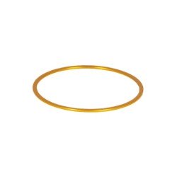 Baader M48 Fine Adjustment Ring 1 mm Gold Color