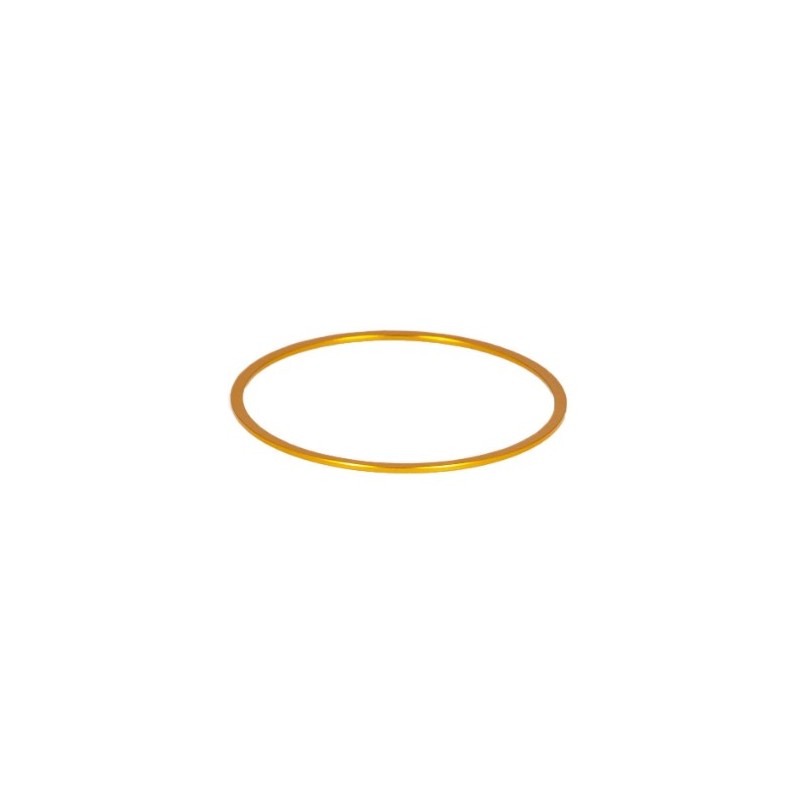 Baader M48 Fine Adjustment Ring 1 mm Gold Color