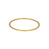 Baader M48 Fine Adjustment Ring 1 mm Gold Color